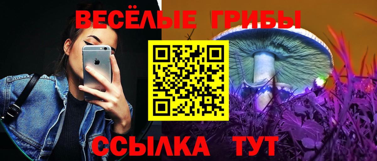 Псилоцибиновые грибы Cubensis  Вход с VPN  Королёв 