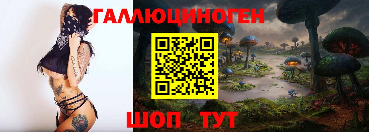 Псилоцибиновые грибы GOLDEN TEACHER Королёв